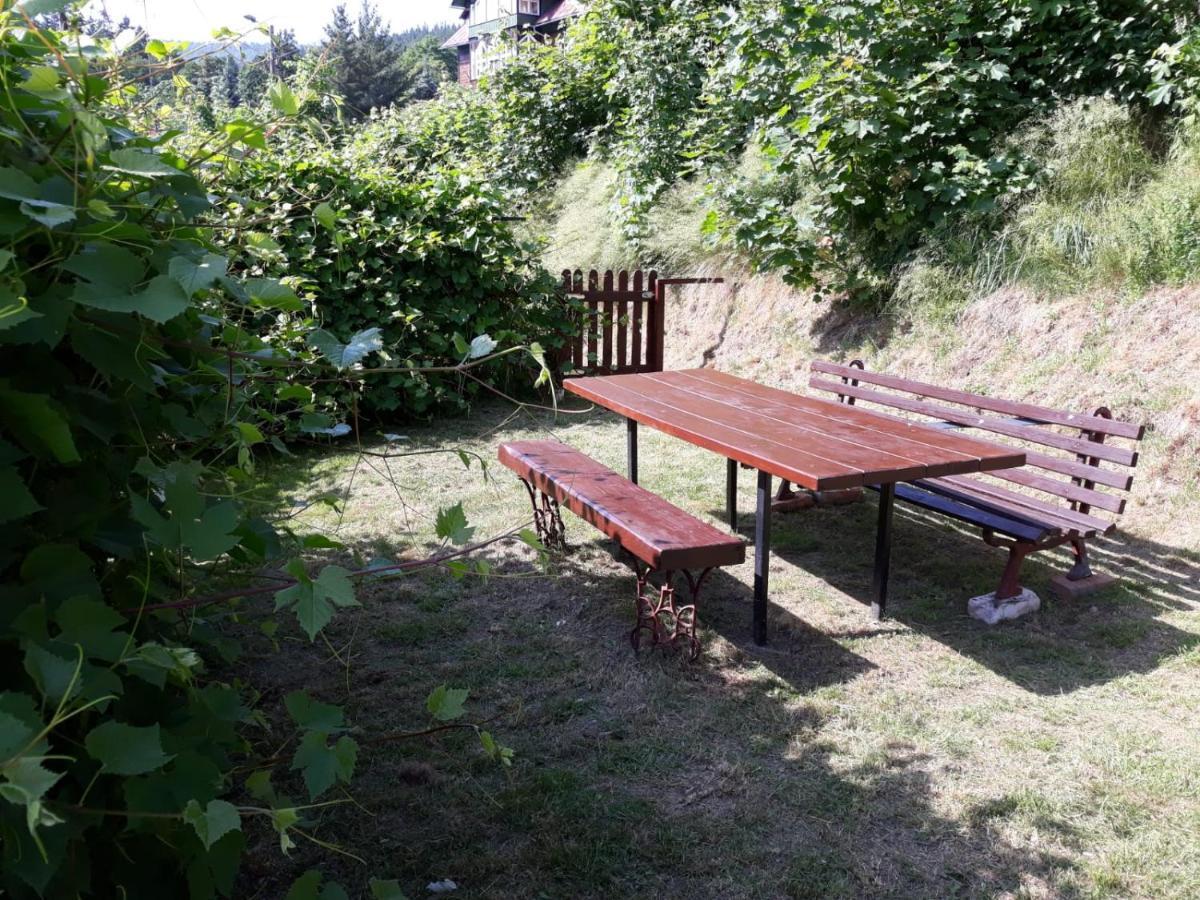 Apartamenty Centrum シクラルスカ・ポレンバ エクステリア 写真